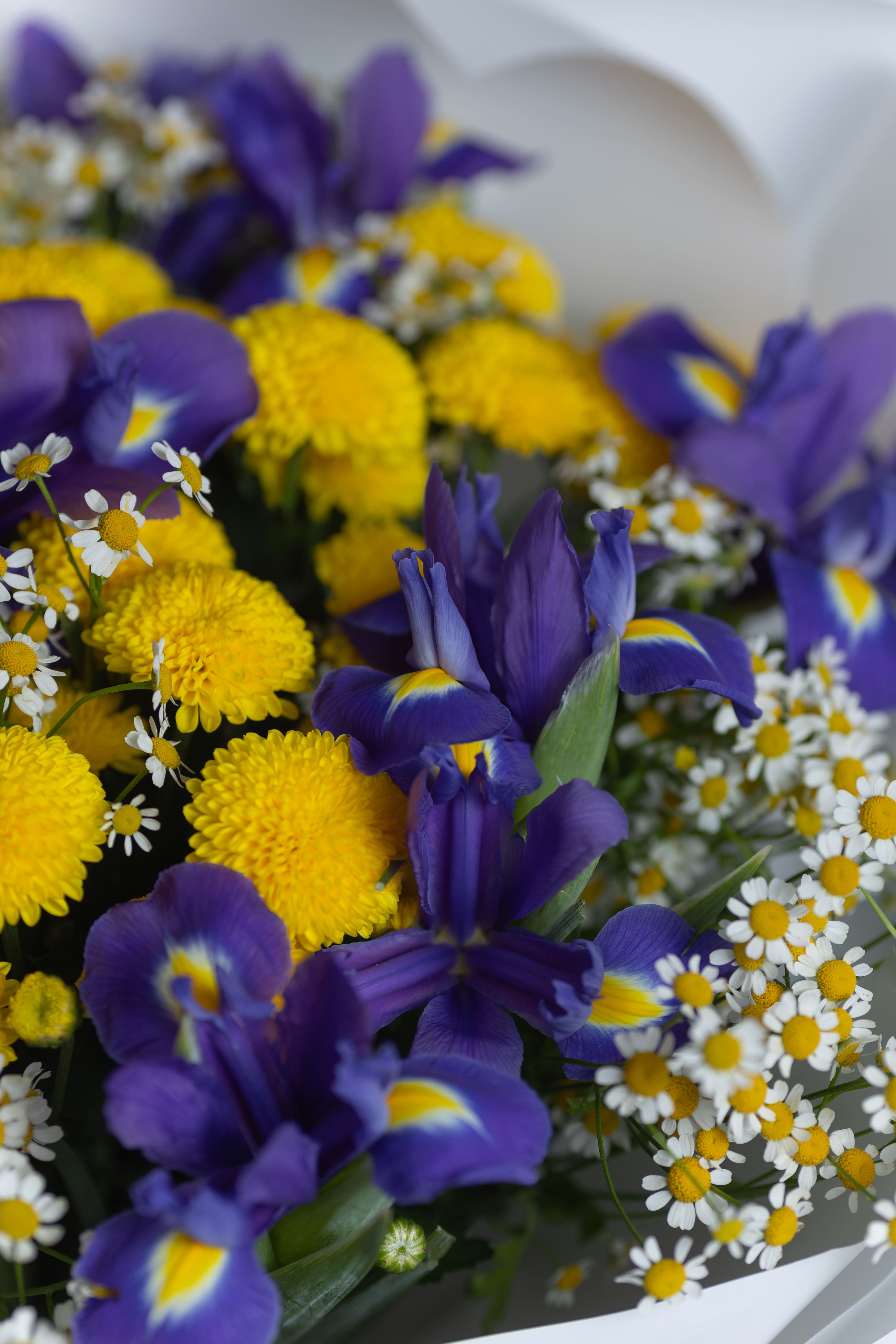 Букет с ирисами и хризантемой